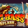 RTP de Big Bass Splash